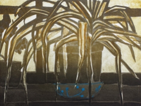 Katherine Jones, Spider Plant, 2016, Sugarlift aquatint etching, 31 x 37cm, Plate size 14.7 x 19.7cm, Edition 25, Tulse Hill Portfolio